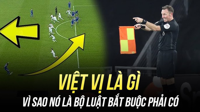 luât việt vi là gì